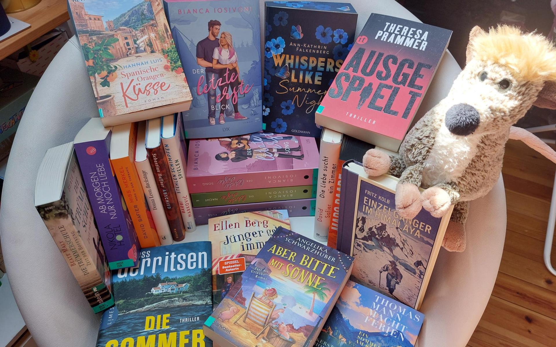 Bücher passend zum Sommer neu eingekauft